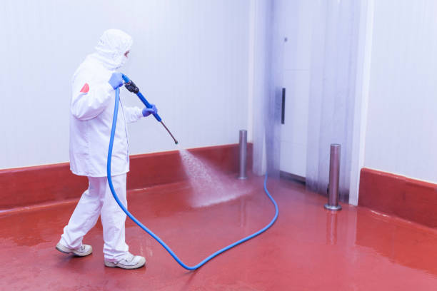Best Roof Washing  in Colchester, IL